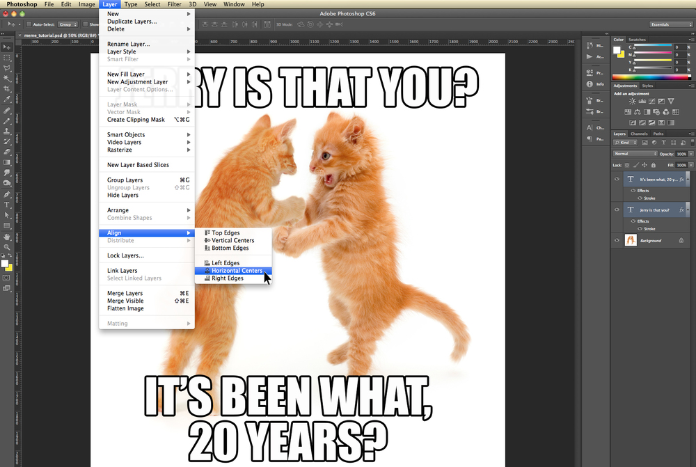  Photoshop basics: How to make a really funny cat meme 