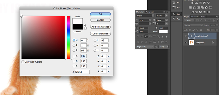  Photoshop basics: How to make a really funny cat meme 