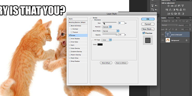 Photoshop basics: How to make a really funny cat meme 
