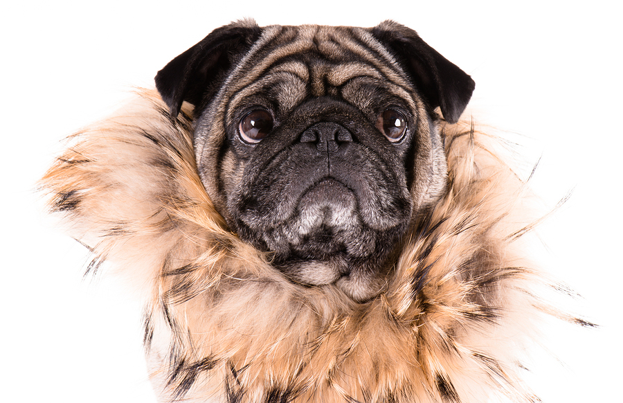  Image Contributor: &nbsp;  aqua6280  