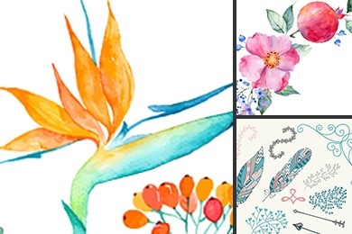 flowers illustration