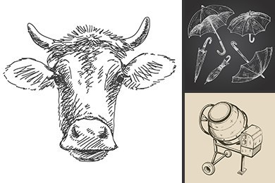 isolated illustration