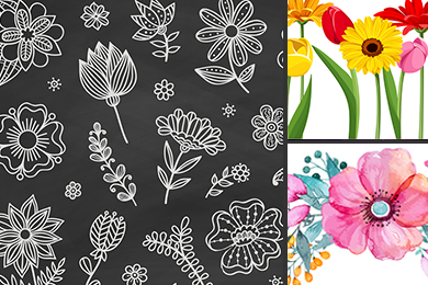 flowers vector illustration